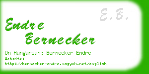 endre bernecker business card